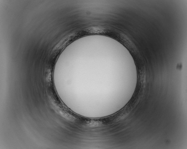 X0000115230549200911201600