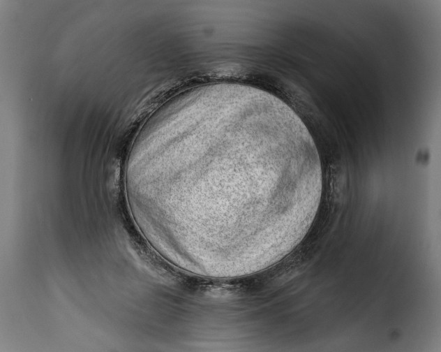 X0000115230550200911201600