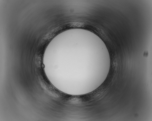 X0000115230551200911201600