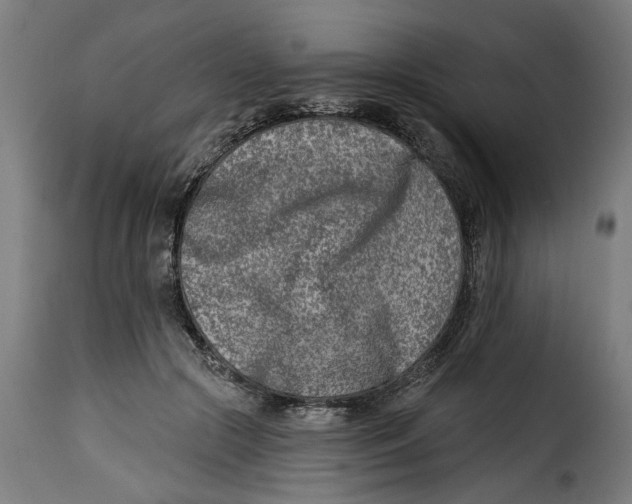 X0000115230553200911201600