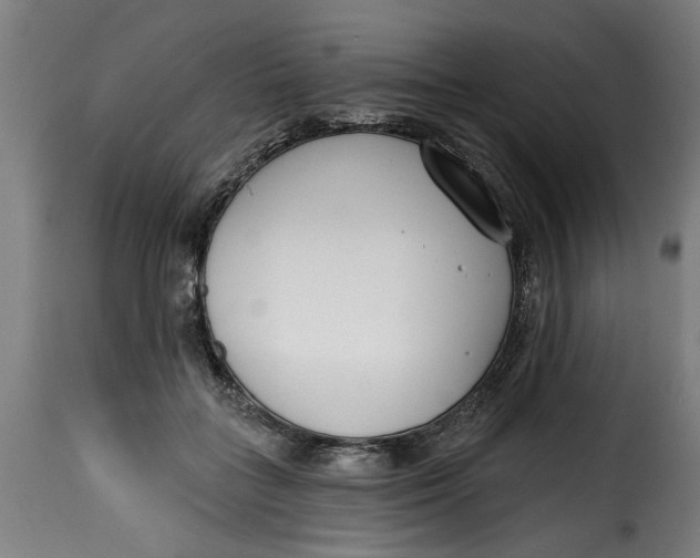 X0000115230555200911201600