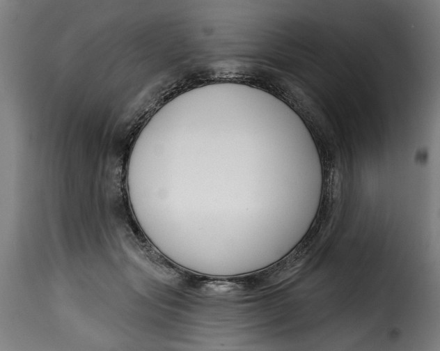 X0000115230557200911201600