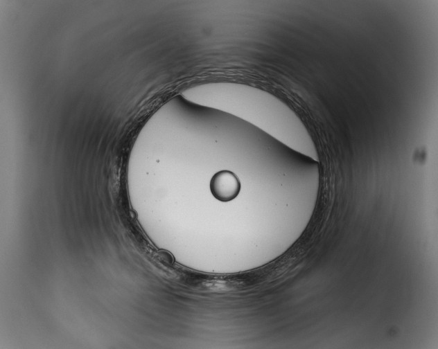 X0000115230558200911201600