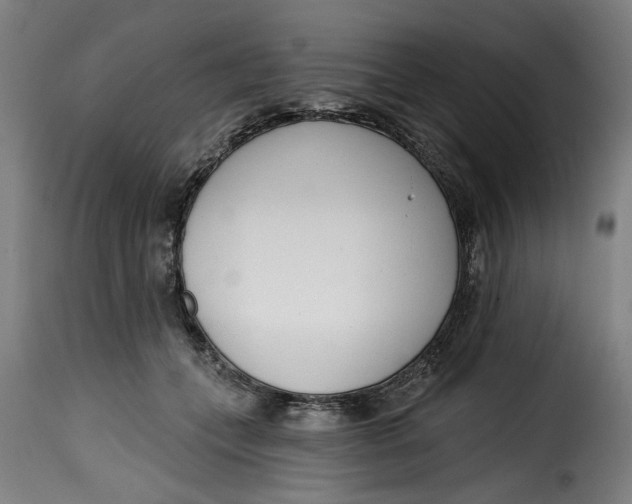 X0000115230559200911201600