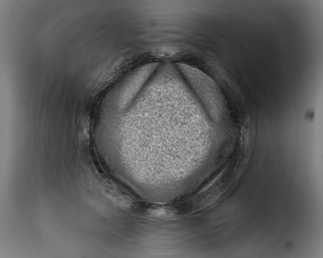 X0000115230561200911201600