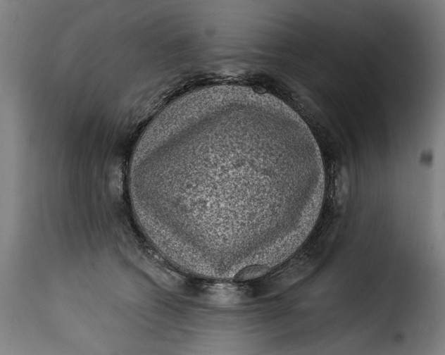 X0000115230562200911201600