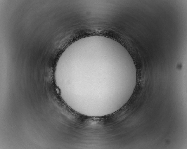 X0000115230563200911201600