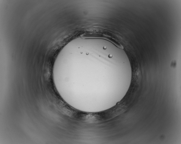 X0000115230566200911201600