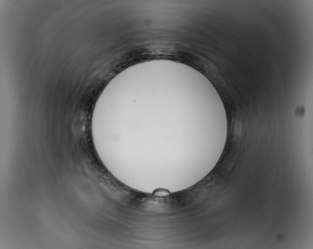 X0000115230567200911201600