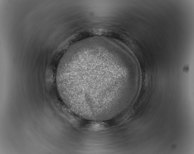 X0000115230569200911201600