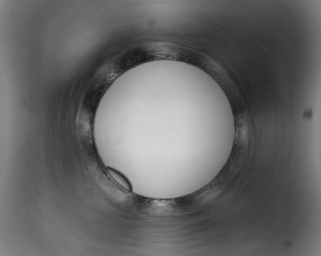 X0000115230573200911201600