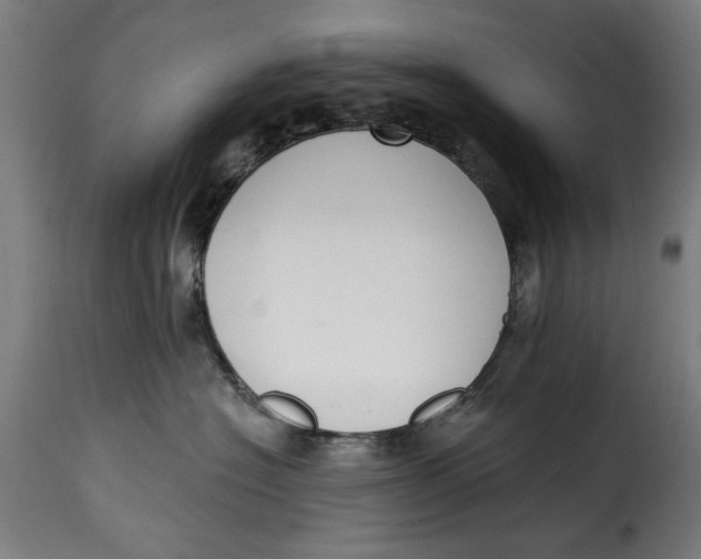 X0000115230574200911201600