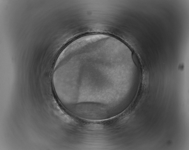 X0000115230577200911201559