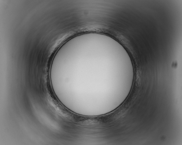 X0000115230578200911201559