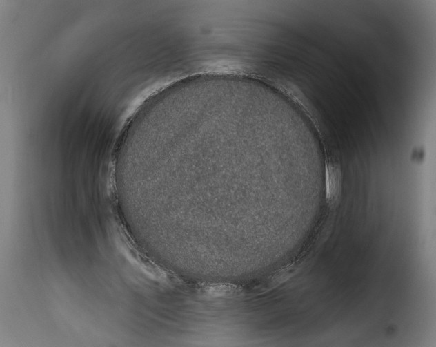 X0000115230579200911201559