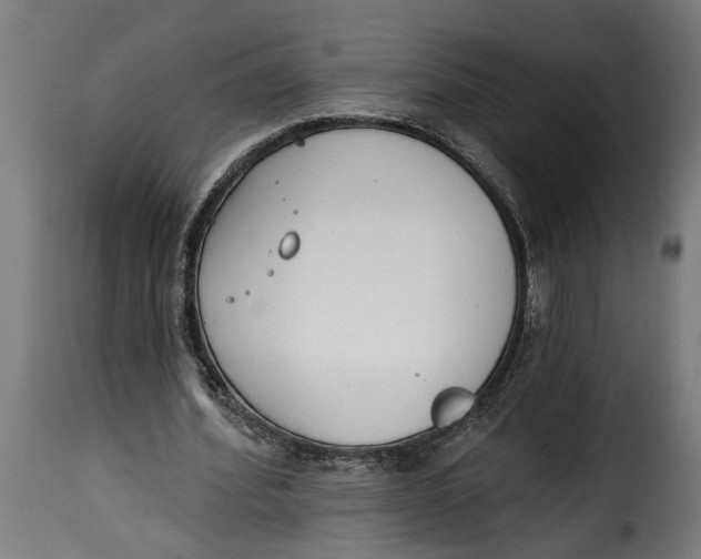 X0000115230580200911201559