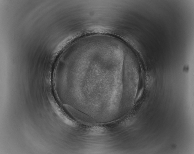 X0000115230581200911201559