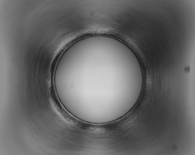 X0000115230582200911201559