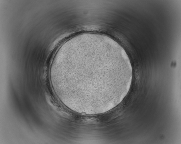 X0000115230583200911201559