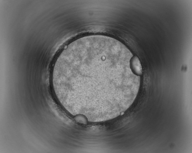 X0000115230584200911201559