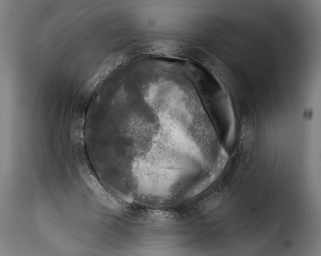 X0000115230585200911201559