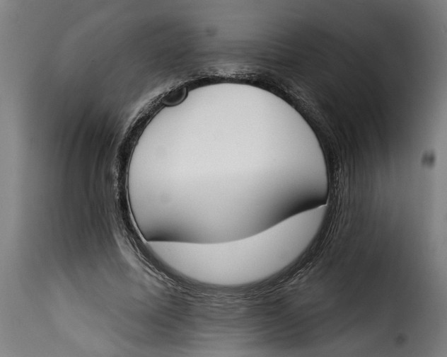 X0000115230587200911201559