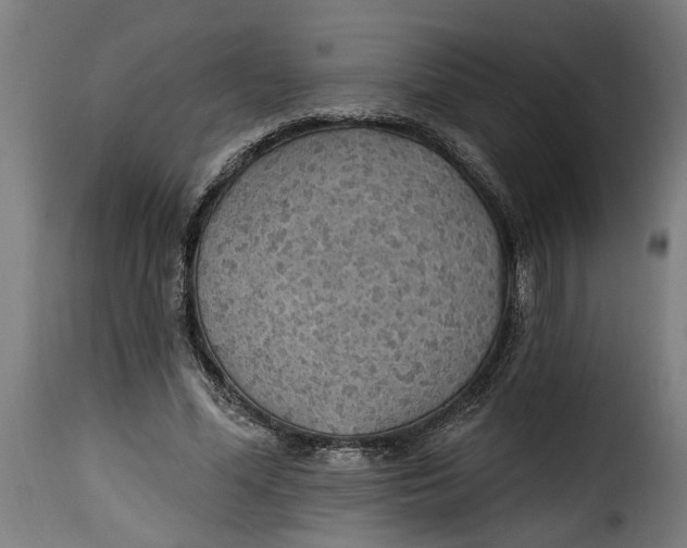 X0000115230588200911201559