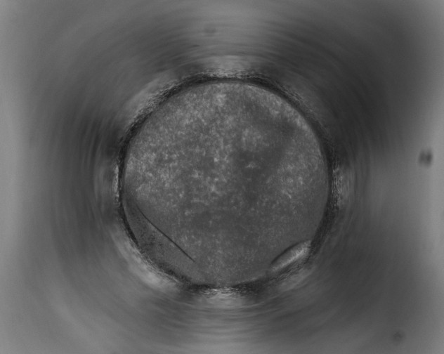 X0000115230589200911201559