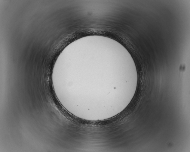 X0000115230593200911201559