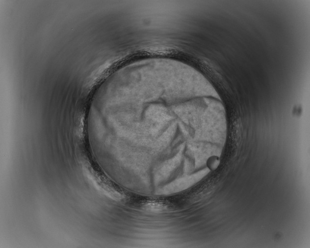 X0000115230596200911201559