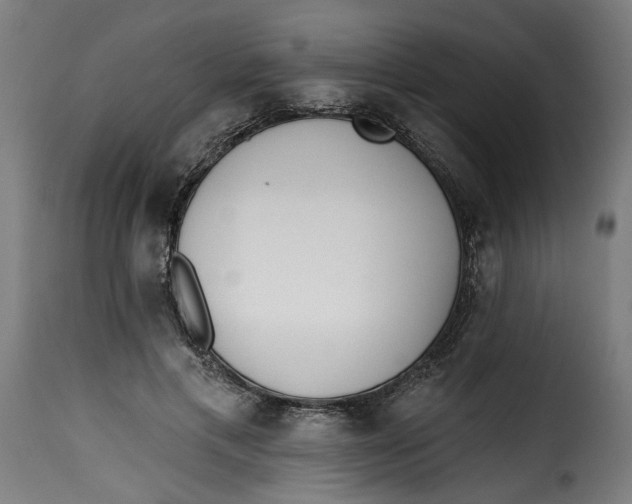 X0000115230597200911201559