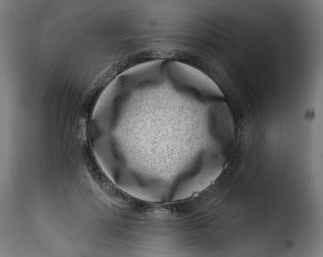 X0000115230598200911201559