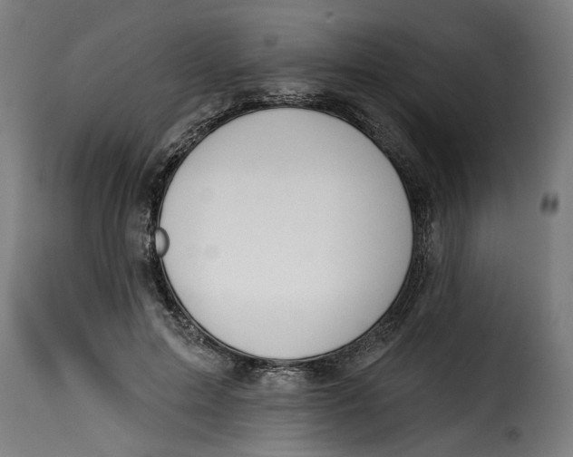 X0000115230599200911201559