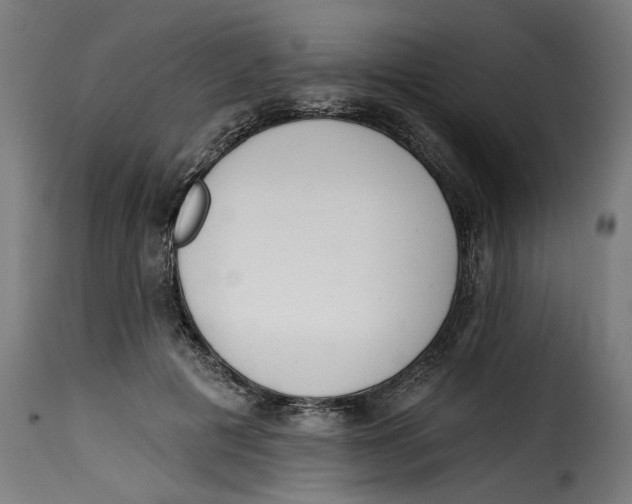 X0000115230601200911201559