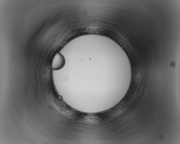 X0000115230603200911201559