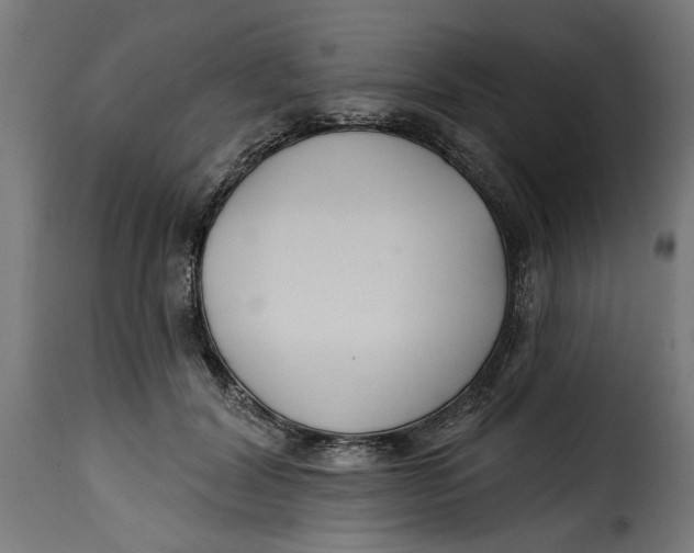 X0000115230604200911201559