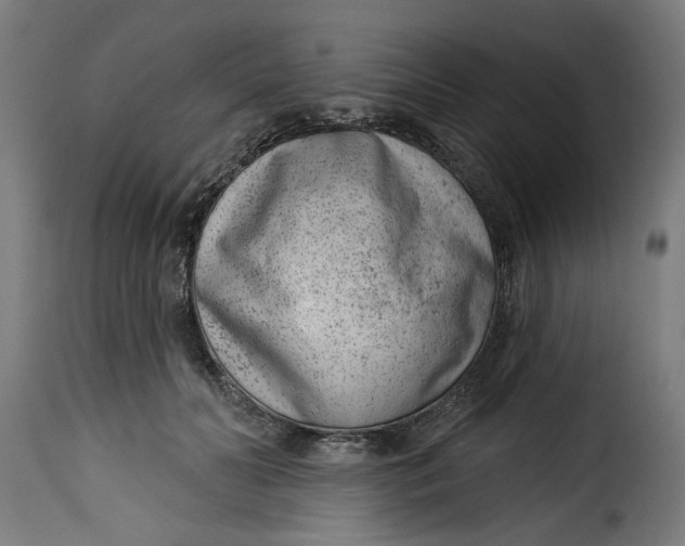 X0000115230606200911201559