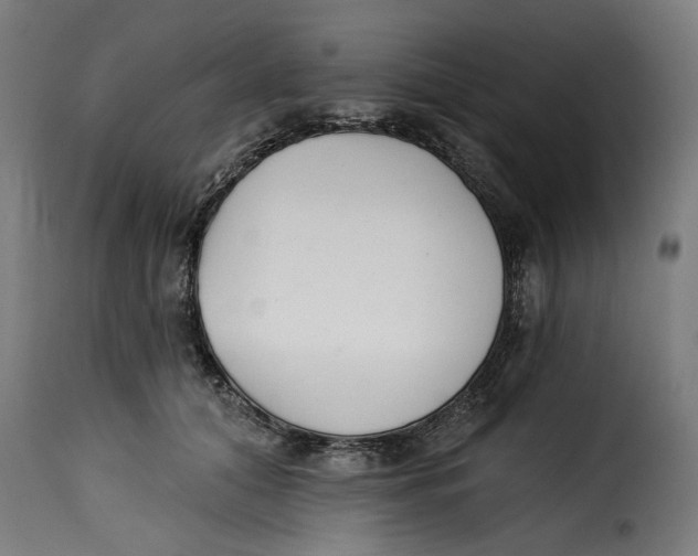 X0000115230608200911201559