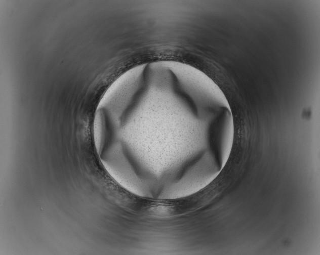 X0000115230610200911201559