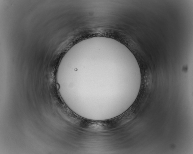 X0000115230611200911201559