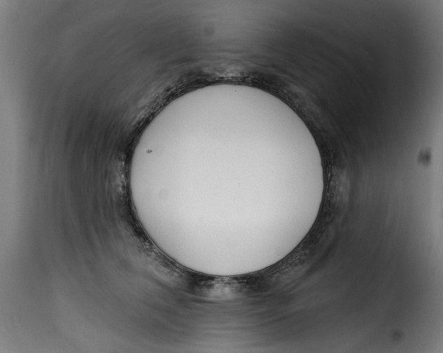 X0000115230612200911201559