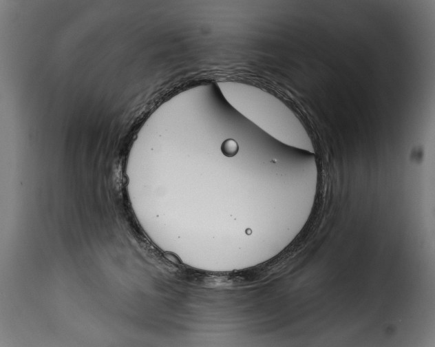 X0000115230613200911201559