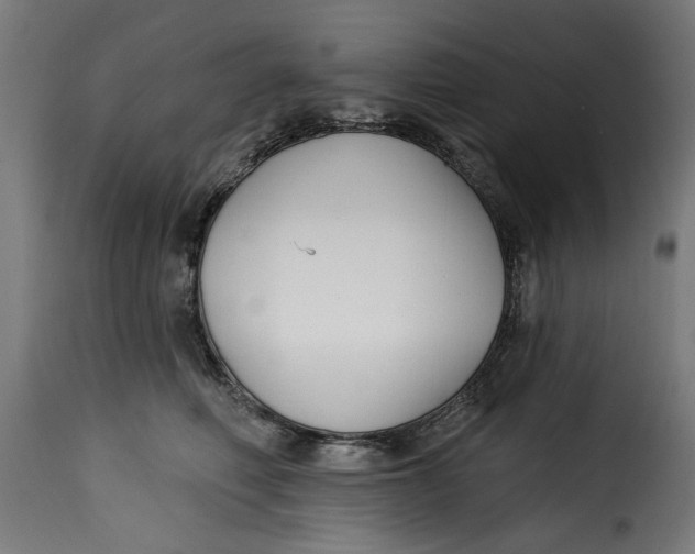 X0000115230614200911201559