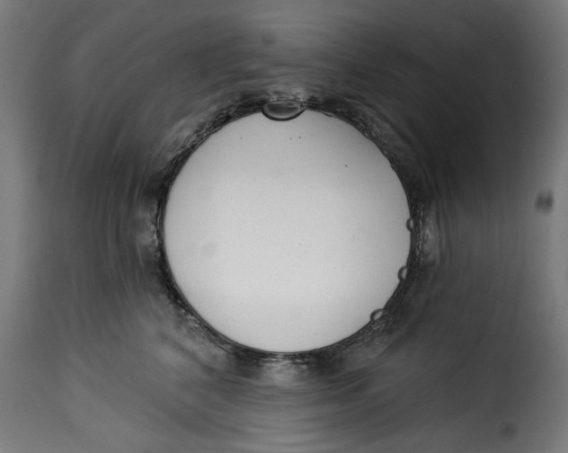 X0000115230616200911201559