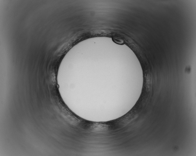 X0000115230617200911201559