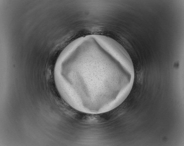 X0000115230618200911201559