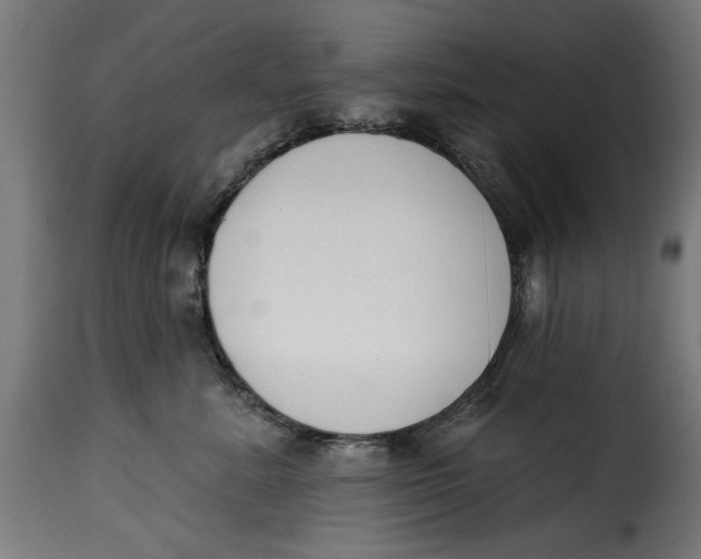 X0000115230619200911201559