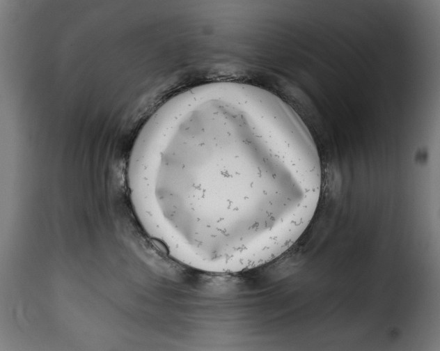 X0000115230621200911201559