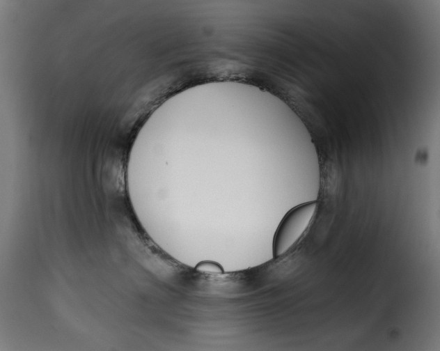 X0000115230622200911201559