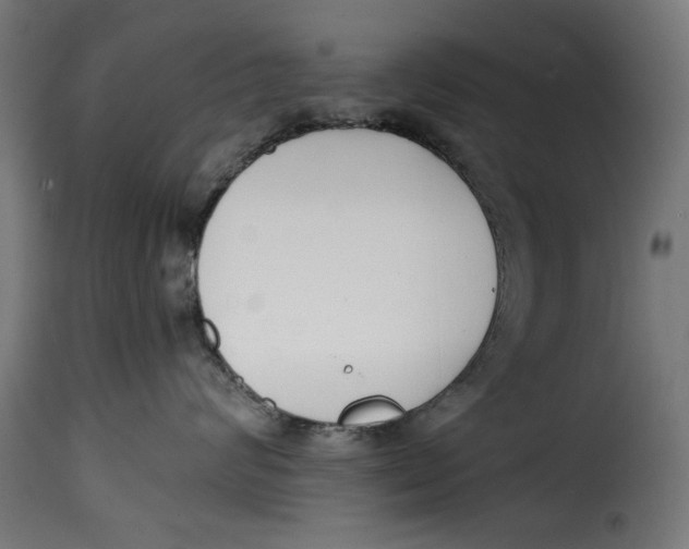 X0000115230624200911201559